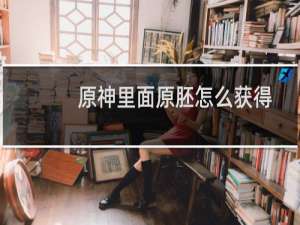 原神里面原胚怎么获得