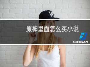 原神里面怎么买小说