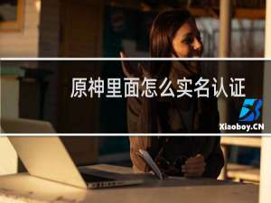 原神里面怎么实名认证