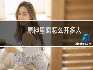 原神里面怎么开多人