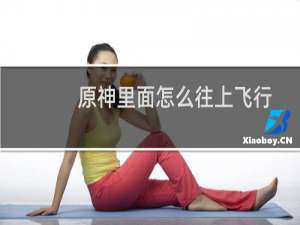 原神里面怎么往上飞行