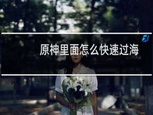 原神里面怎么快速过海