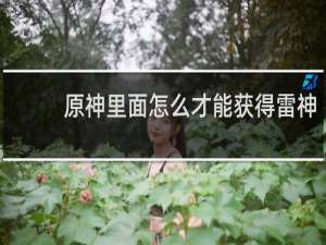 原神里面怎么才能获得雷神