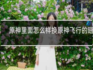 原神里面怎么样换原神飞行的翅膀