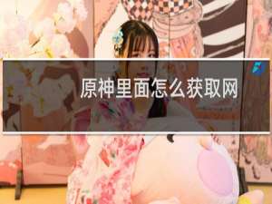 原神里面怎么获取网