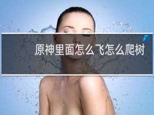 原神里面怎么飞怎么爬树