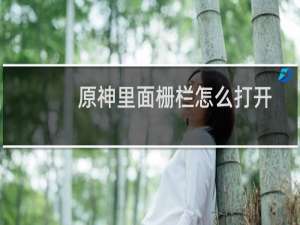 原神里面栅栏怎么打开