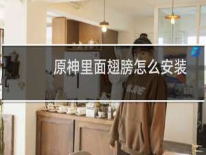 原神里面翅膀怎么安装