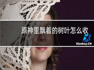 原神里飘着的树叶怎么收