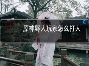 原神野人玩家怎么打人