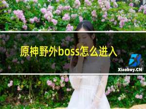 原神野外boss怎么进入