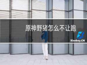 原神野猪怎么不让跑