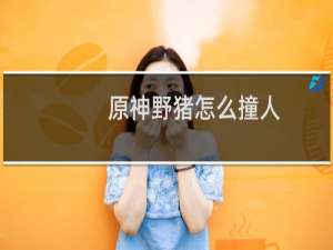 原神野猪怎么撞人