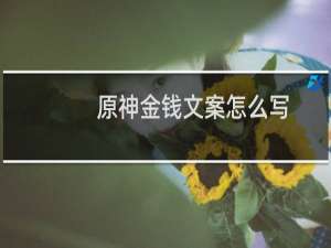 原神金钱文案怎么写