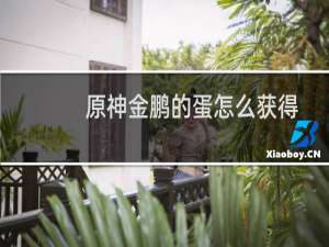 原神金鹏的蛋怎么获得