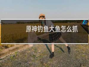 原神钓鱼大鱼怎么抓