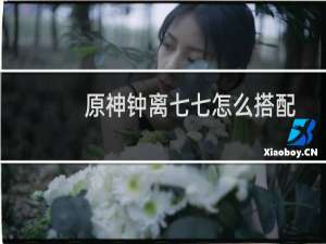 原神钟离七七怎么搭配