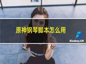 原神钢琴脚本怎么用