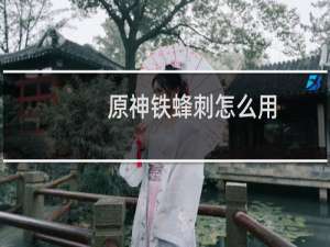 原神铁蜂刺怎么用