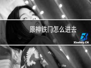 原神铁门怎么进去