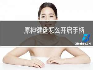 原神键盘怎么开启手柄