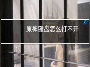 原神键盘怎么打不开