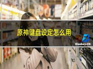 原神键盘设定怎么用