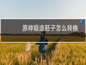 原神锻造胚子怎么转换