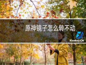 原神镜子怎么转不动