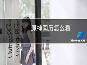 原神阅历怎么看