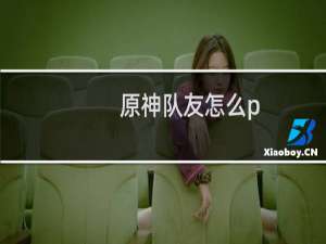 原神队友怎么p