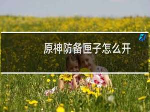 原神防备匣子怎么开