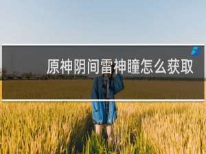 原神阴间雷神瞳怎么获取
