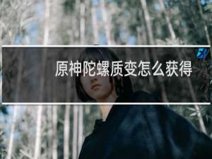 原神陀螺质变怎么获得