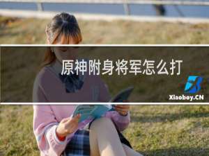 原神附身将军怎么打