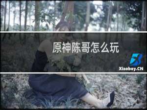 原神陈哥怎么玩