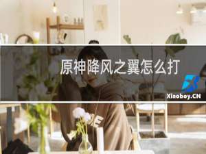 原神降风之翼怎么打
