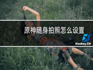 原神随身拍照怎么设置