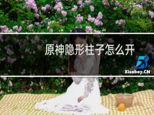 原神隐形柱子怎么开