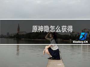 原神隐怎么获得