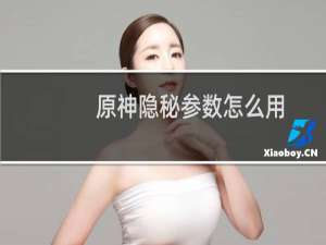 原神隐秘参数怎么用