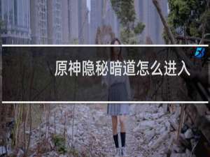 原神隐秘暗道怎么进入