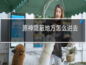 原神隐蔽地方怎么进去