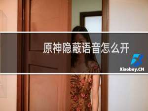 原神隐蔽语音怎么开