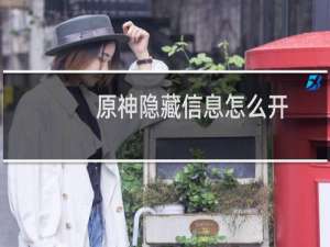 原神隐藏信息怎么开
