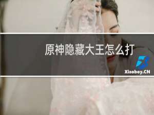 原神隐藏大王怎么打