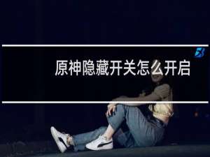 原神隐藏开关怎么开启
