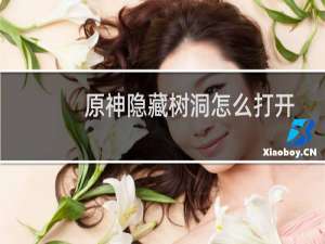 原神隐藏树洞怎么打开