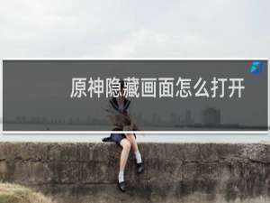 原神隐藏画面怎么打开
