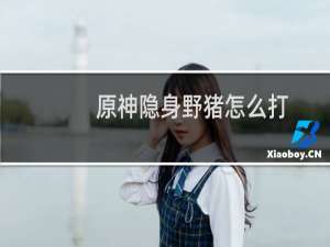 原神隐身野猪怎么打